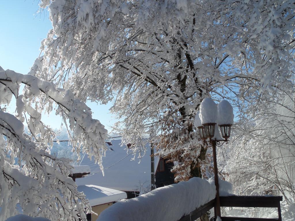 Holiday Home Mreznica Gornji Zvečaj 部屋 写真